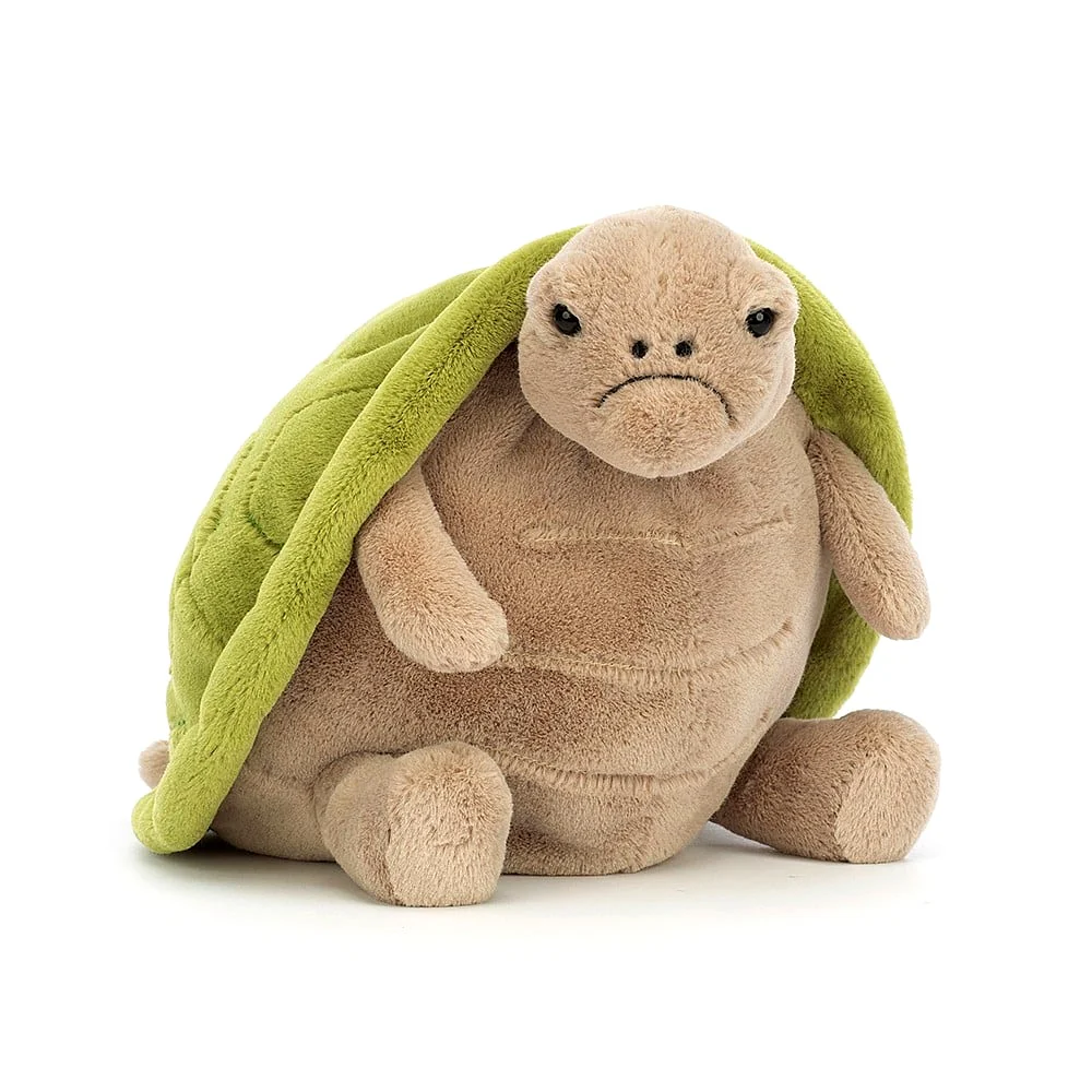 Timmy Turtle - Image 3